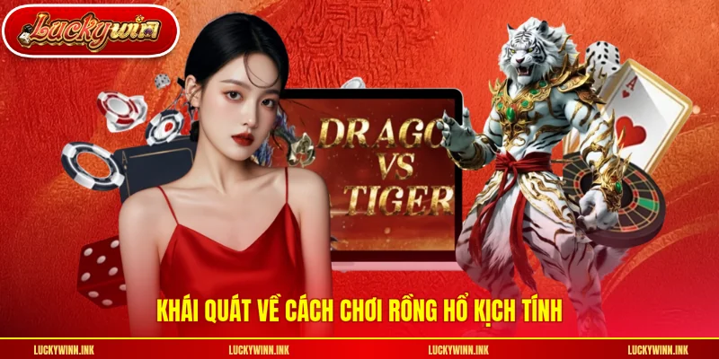 Khái quát về cách chơi rồng hổ kịch tính